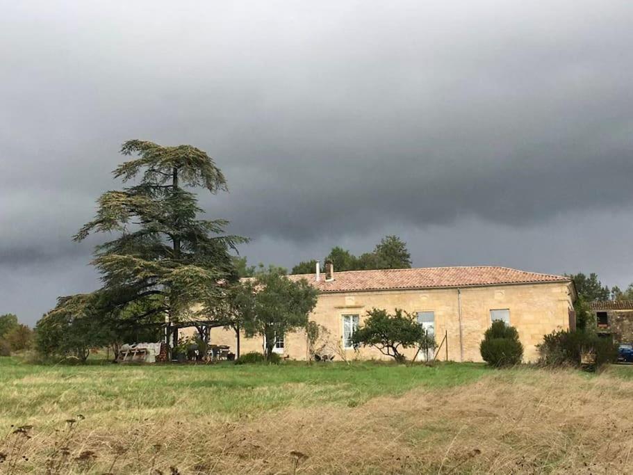 Beau Gite Dans Domaine Viticole & Arboricole Cursan Exteriér fotografie